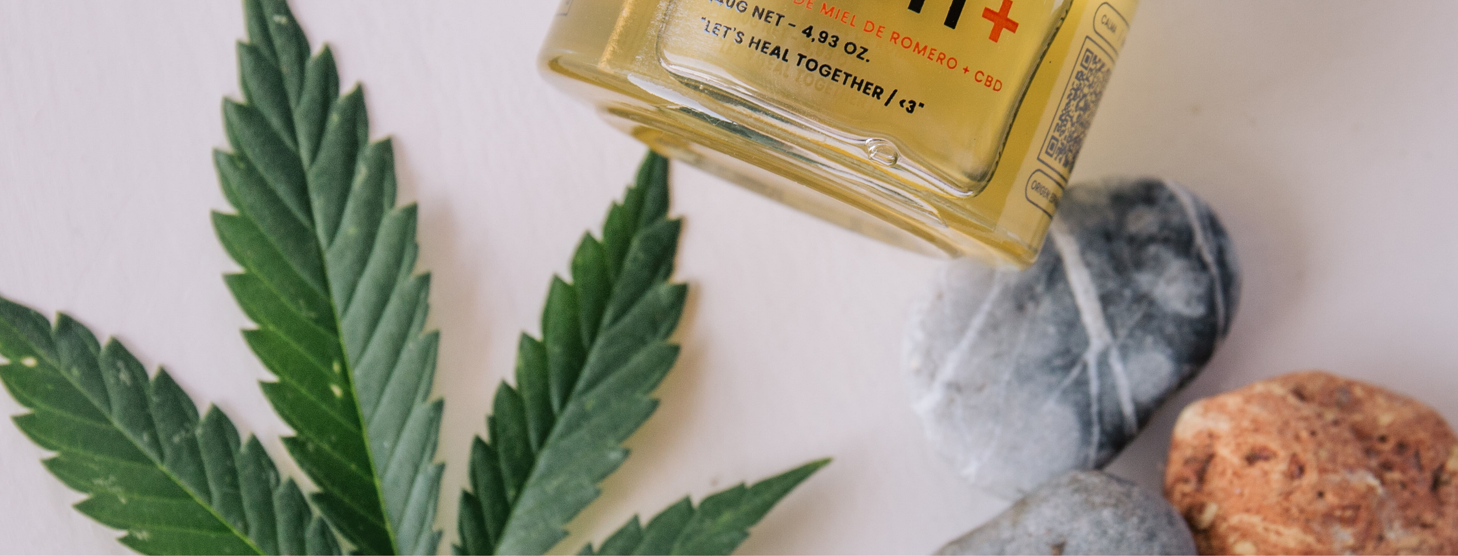 Image of ¿Qué son los cannabinoides?